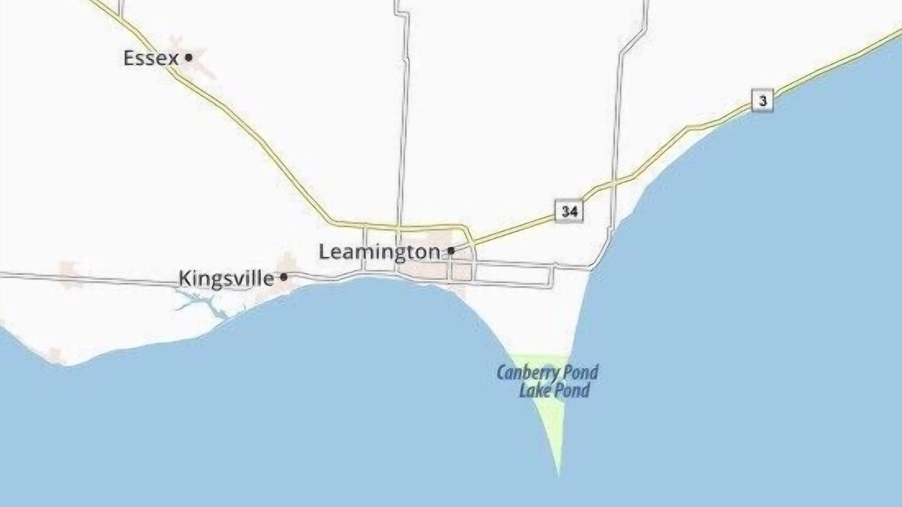 Photo of Others in Leamington