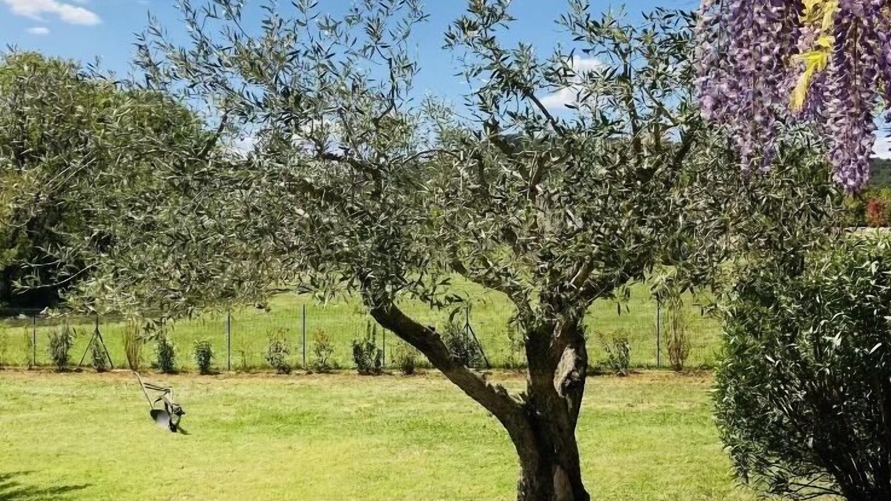 Photo of Outdoor in Baron