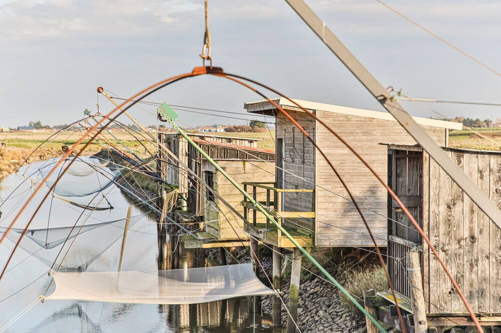 Photo of Others in Bouin