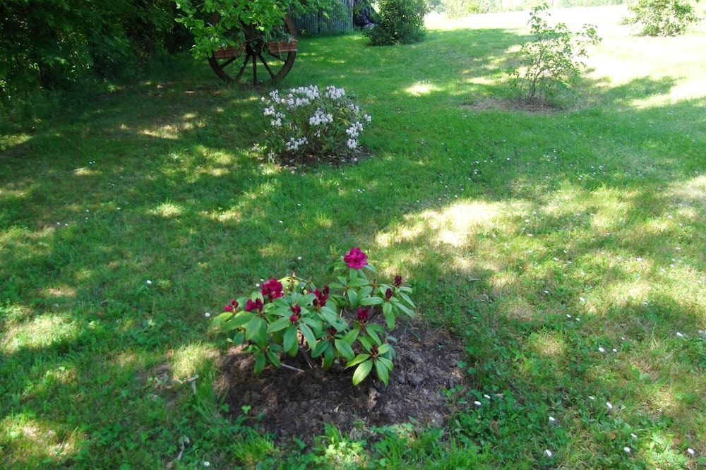 Photo of Outdoor in Montpezat-de-Quercy