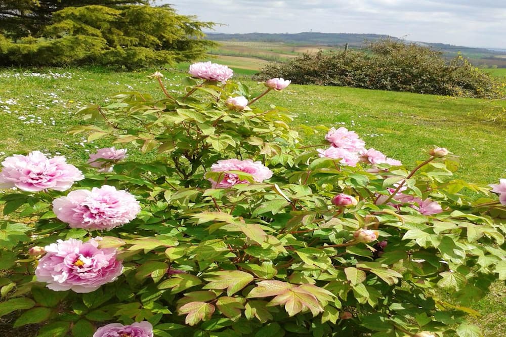 Photo of Outdoor in Montpezat-de-Quercy