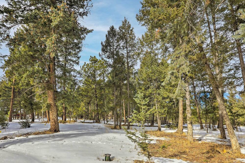 Photo of Others in Evergreen Meadows