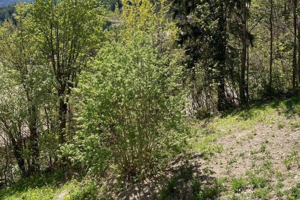 Photo of Outdoor in Pra Loup