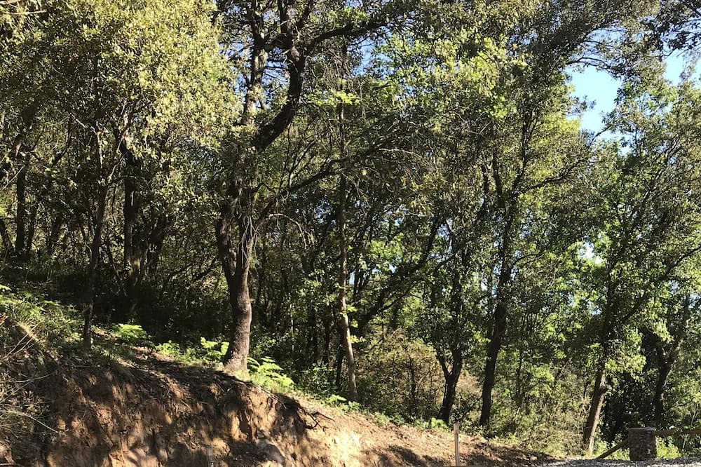 Photo of Outdoor in Saint-Julien-de-la-Nef