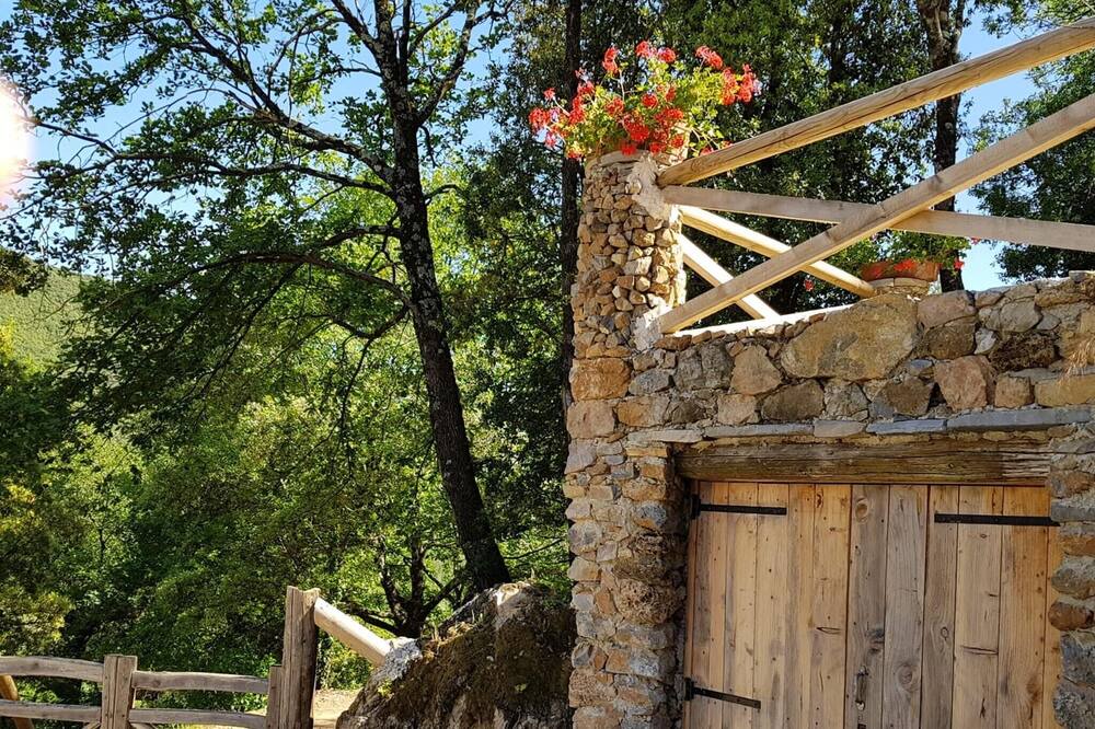 Photo of Outdoor in Saint-Julien-de-la-Nef