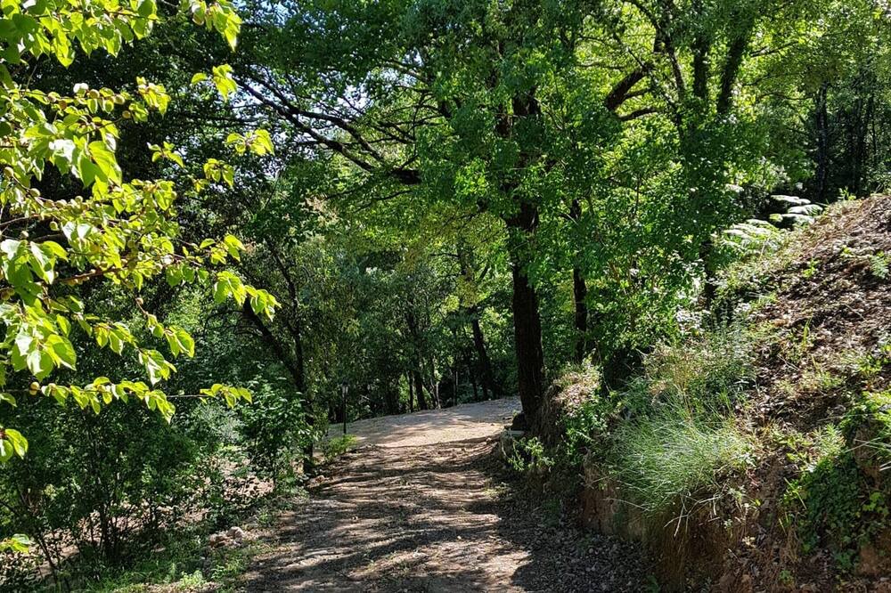 Photo of Outdoor in Saint-Julien-de-la-Nef
