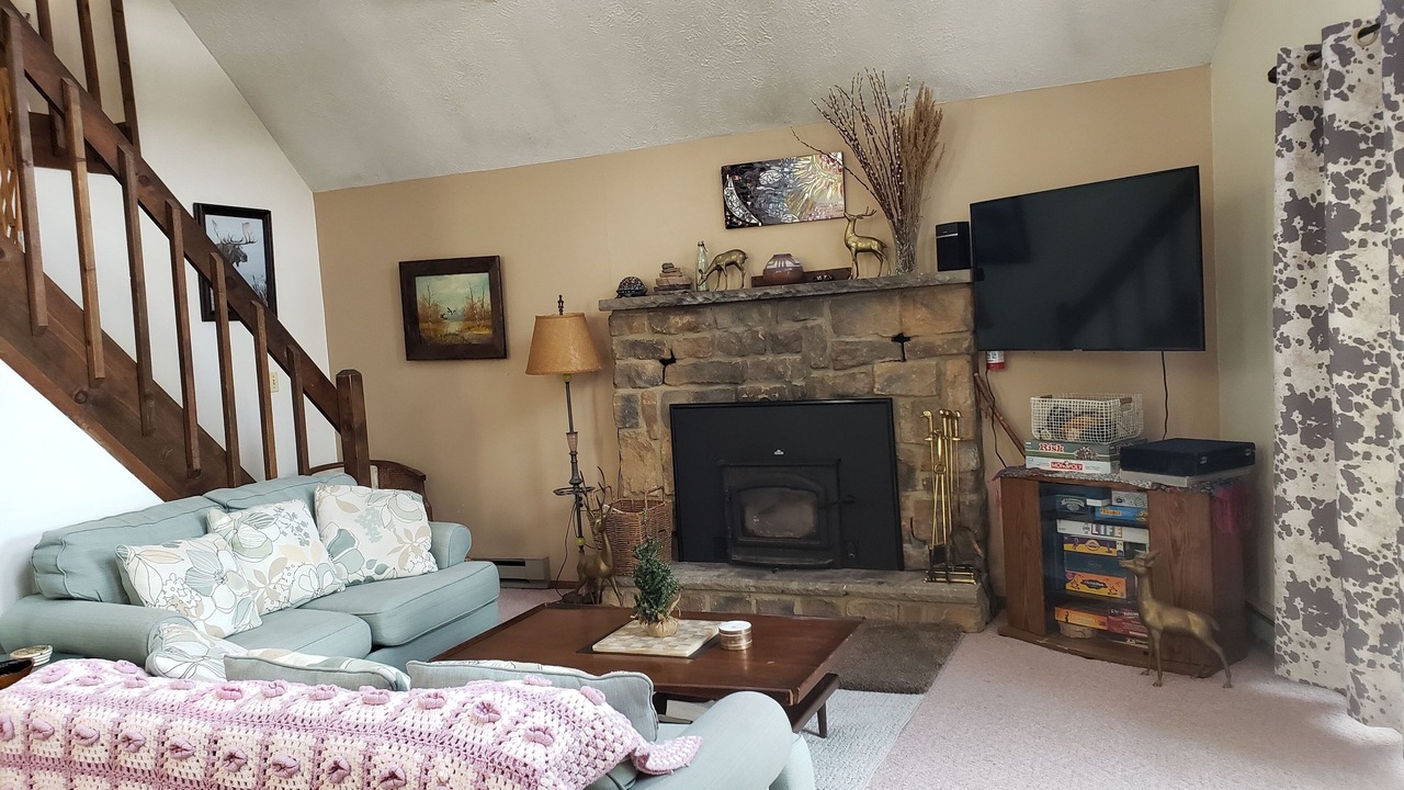 Photo of Livingroom in Mount Pocono