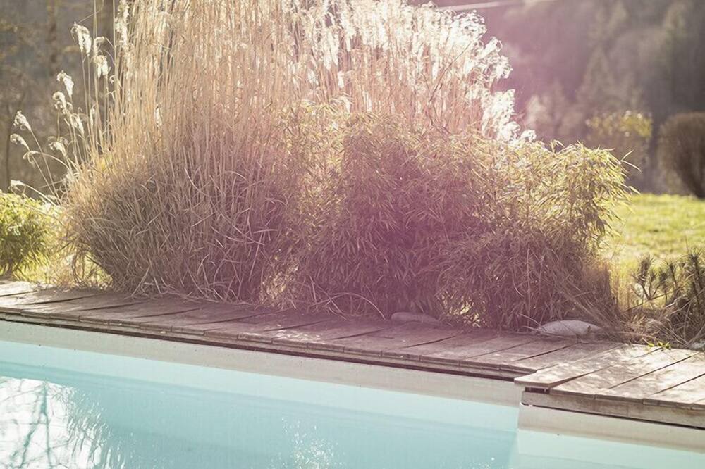 Photo of Outdoor in Naves-Parmelan