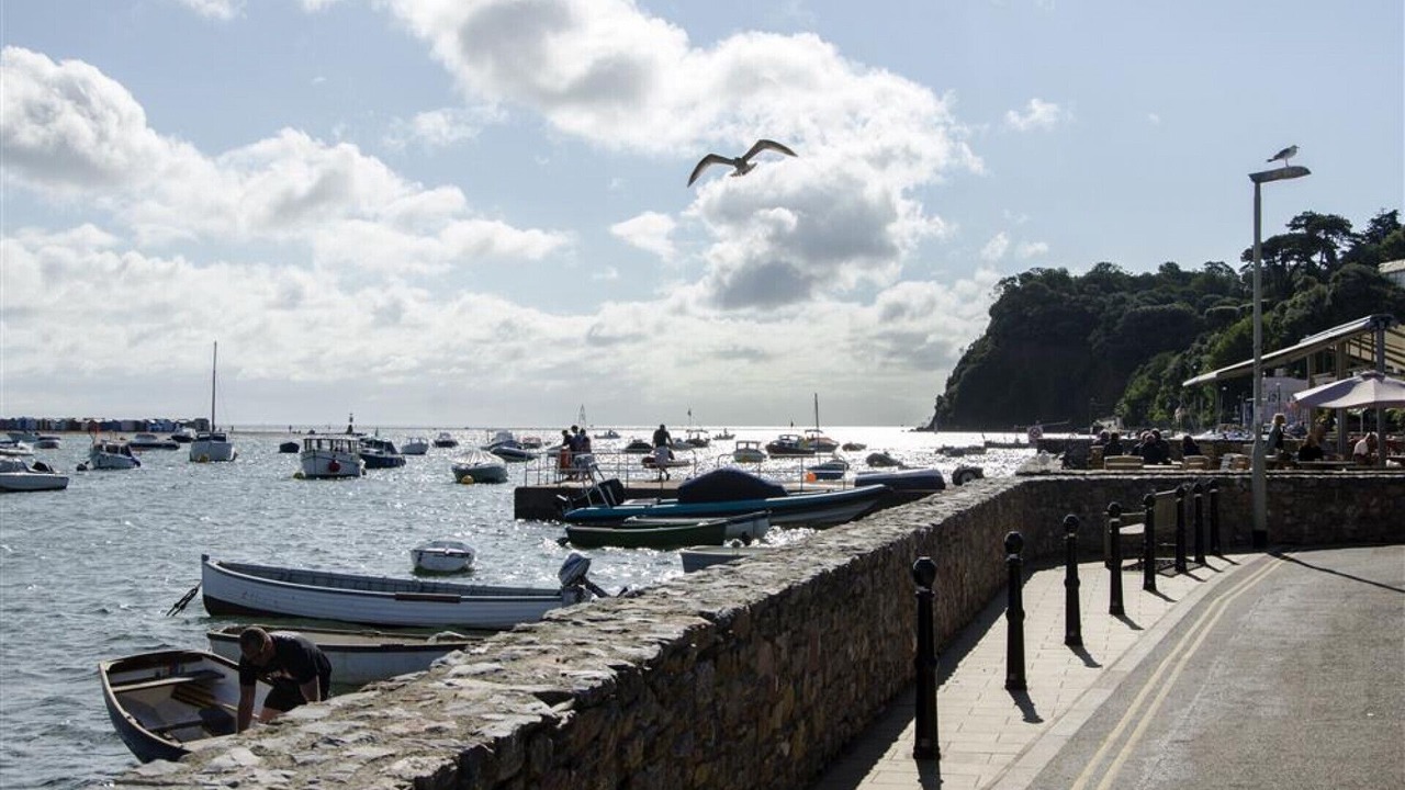 Photo of Others in Shaldon