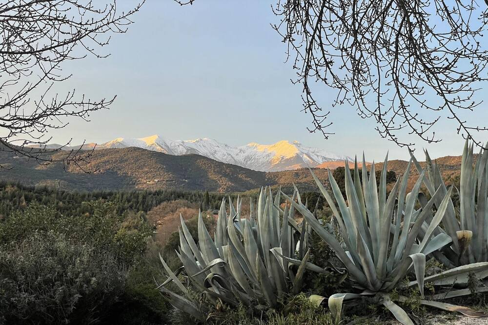 Photo of Outdoor in Castelnou