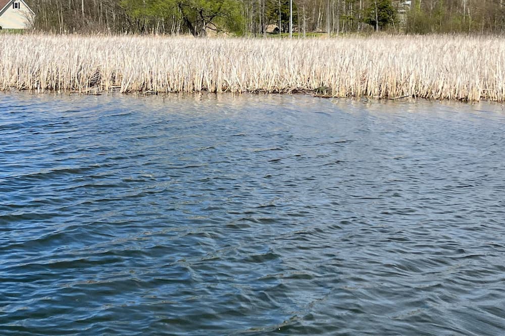 Photo of Others in Sandy Creek