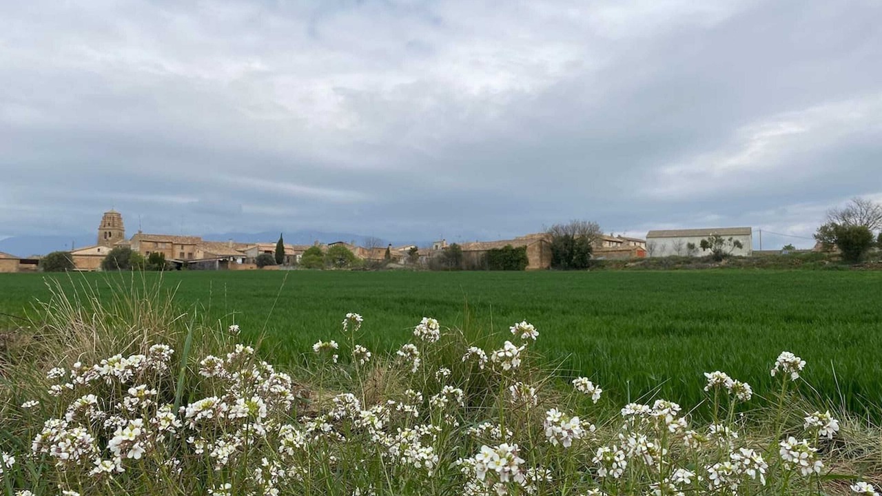 Photo of Others in Sieso de Huesca