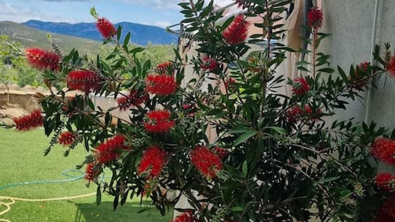 Photo of Outdoor in Sieso de Huesca