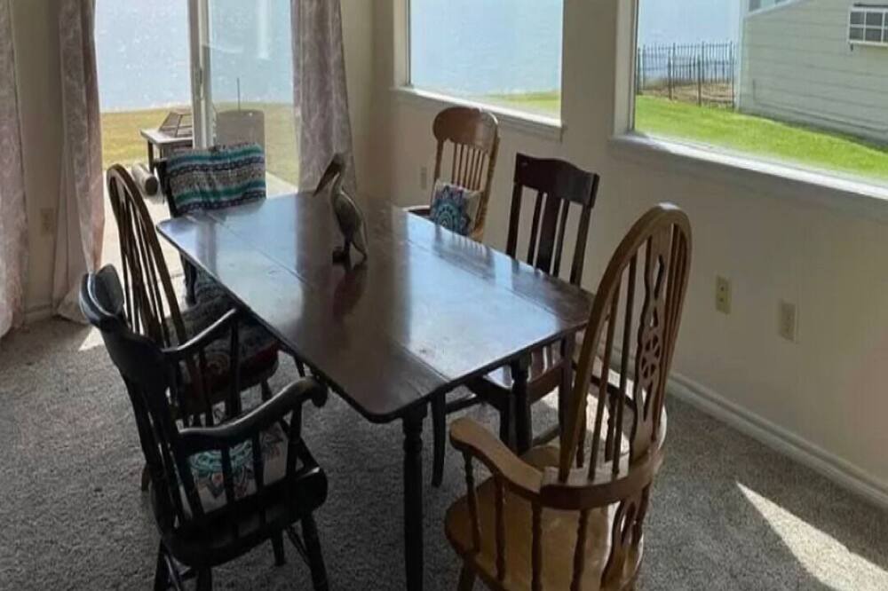 Photo of Kitchen in Copeland