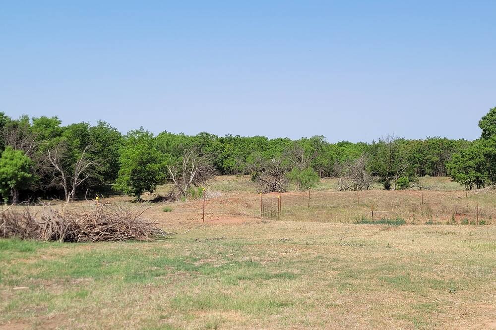 Photo of Others in Tillman County