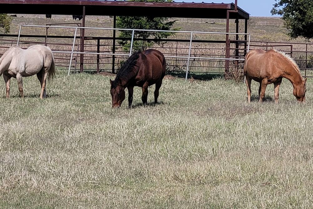 Photo of Outdoor in Tillman County