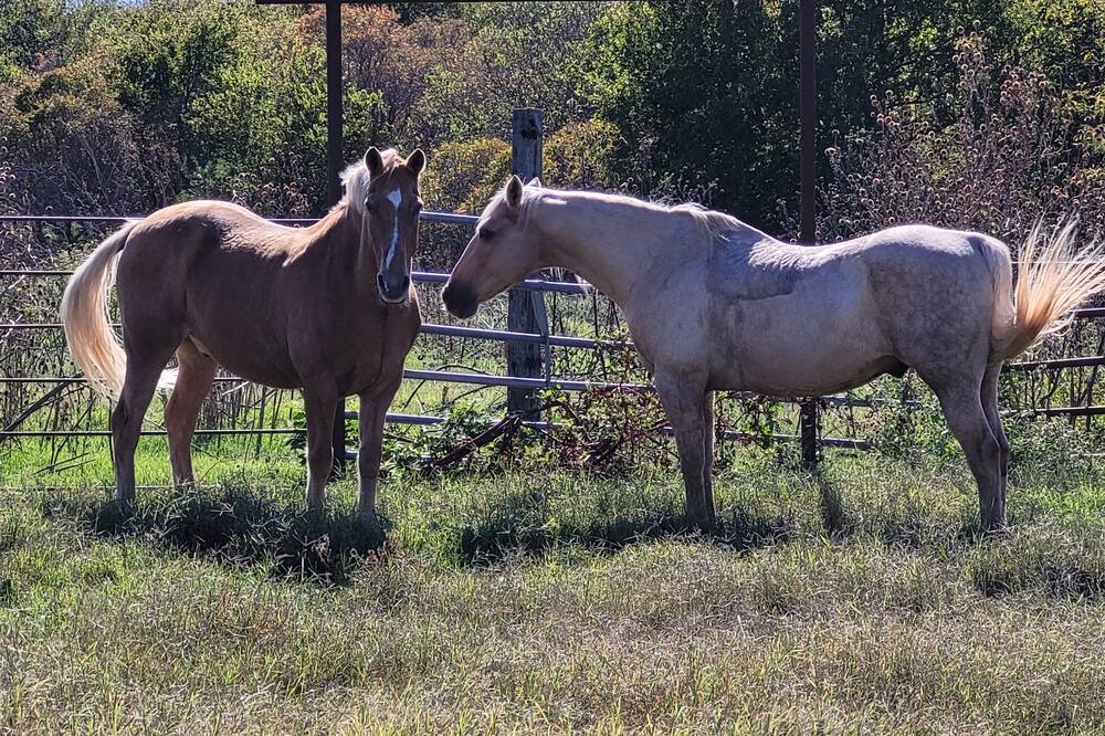 Photo of Outdoor in Tillman County