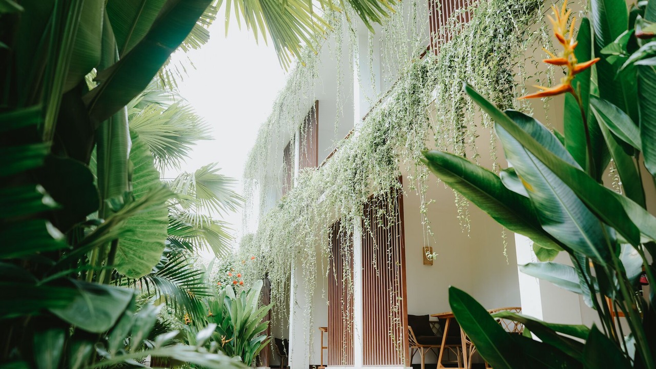 Photo of Outdoor in Kuta
