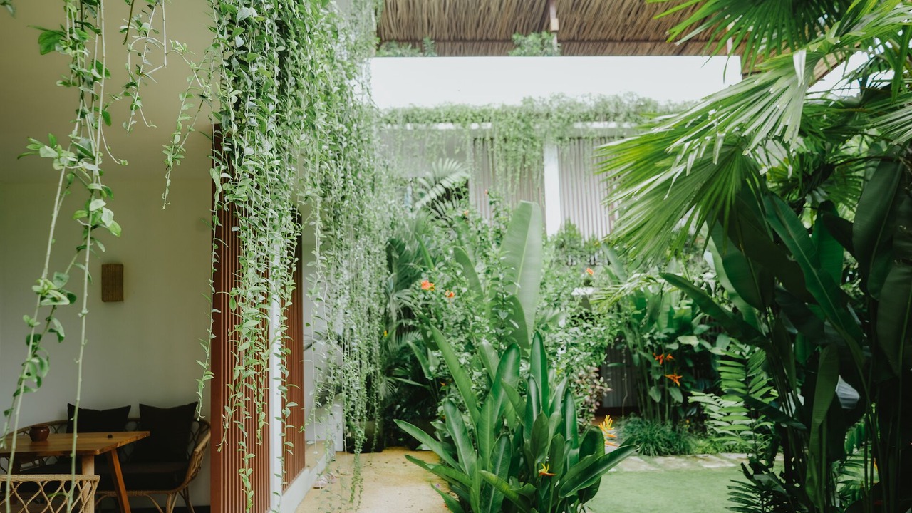 Photo of Outdoor in Kuta