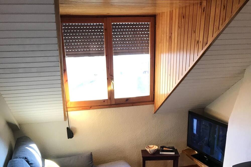 Photo of Livingroom in Benasque