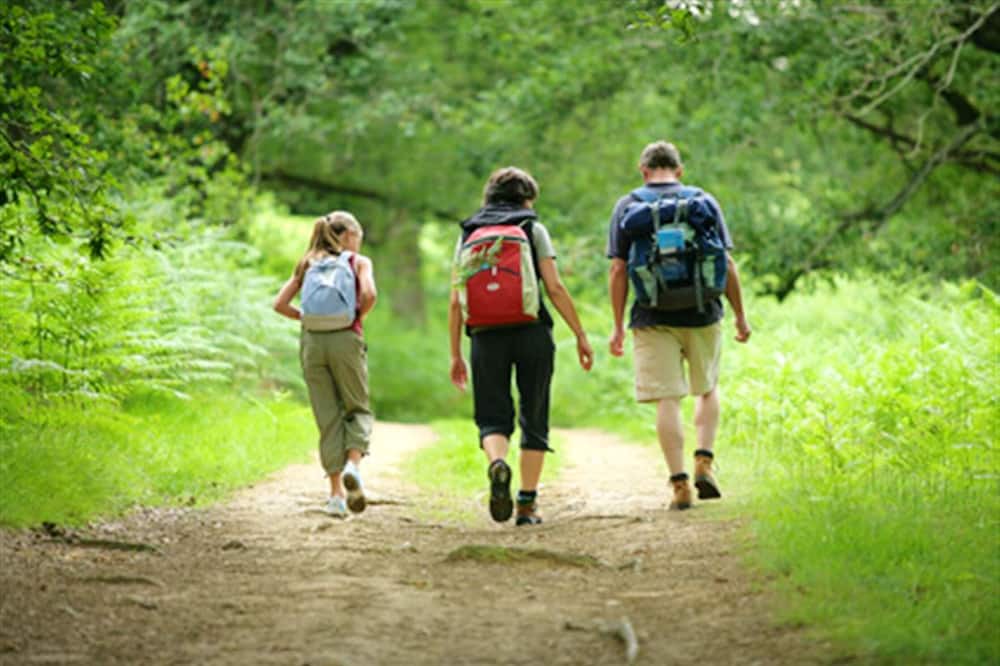 Photo of Others in La Ferriere-aux-Etangs