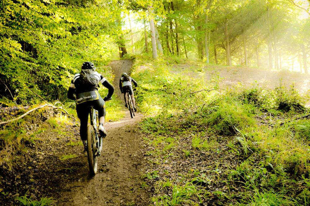 Photo of Others in La Ferriere-aux-Etangs