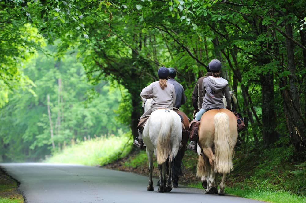 Photo of Others in La Ferriere-aux-Etangs
