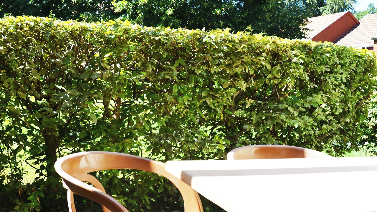 Photo of Patio Balcony in Munster