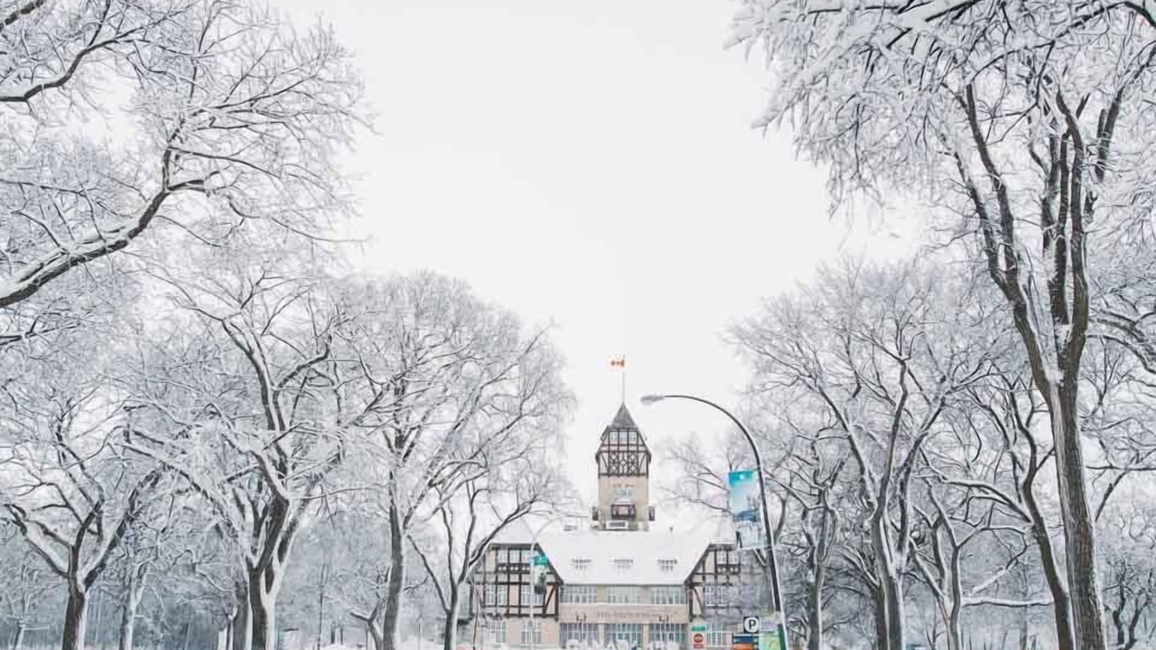Photo of Others in Winnipeg