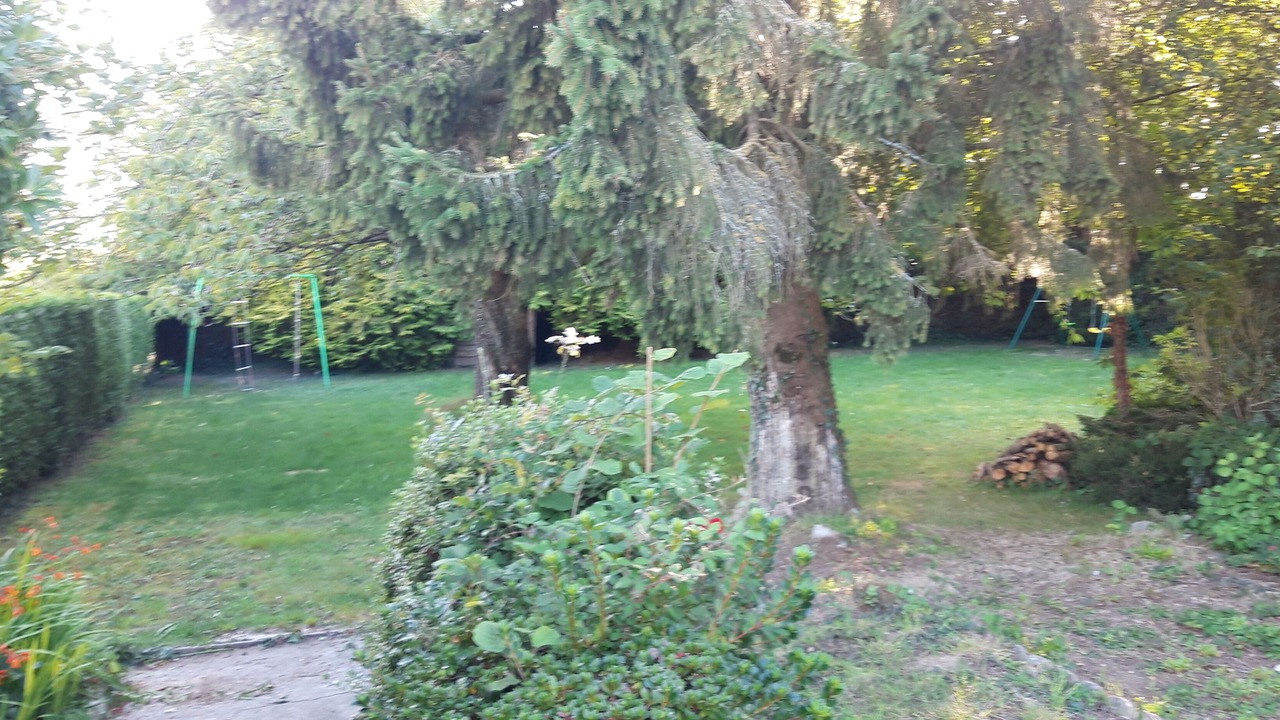 Photo of Outdoor in Saint-Mars-sur-la-Futaie