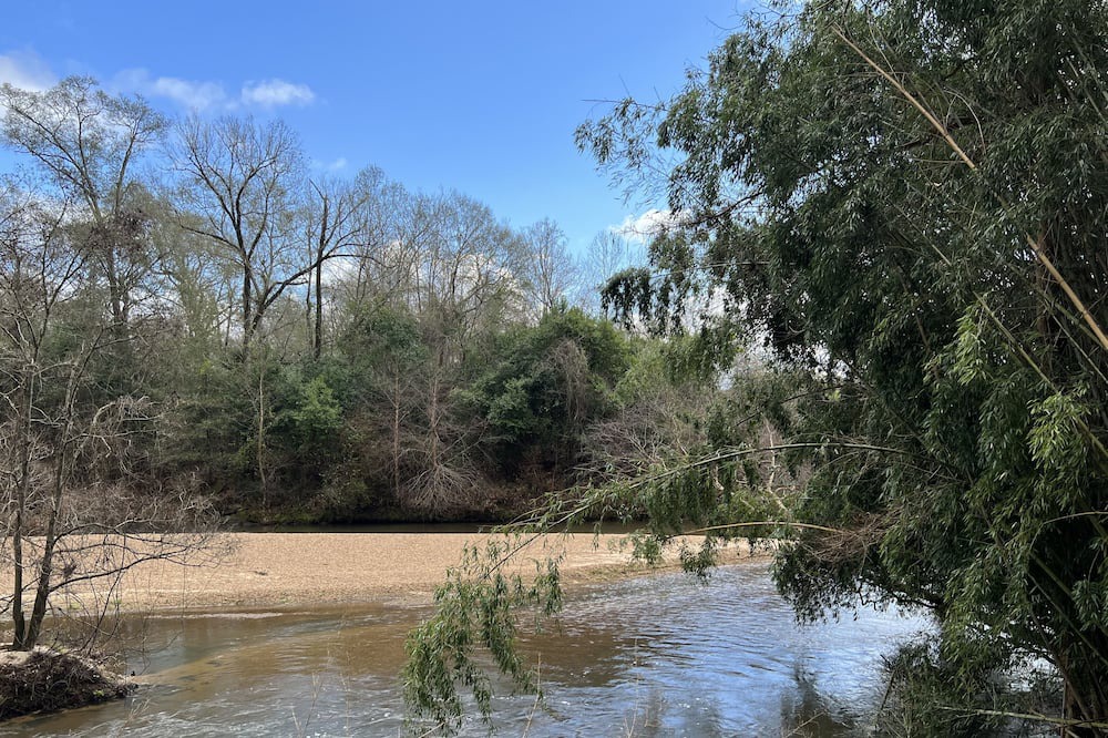 Photo of Others in McComb