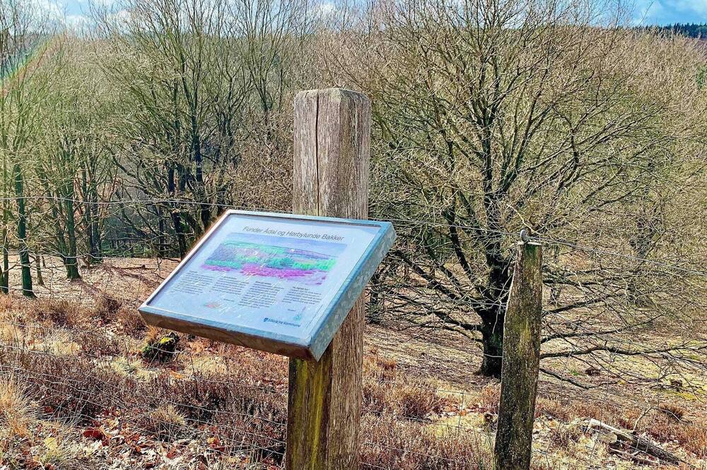 Photo of Outdoor in Silkeborg