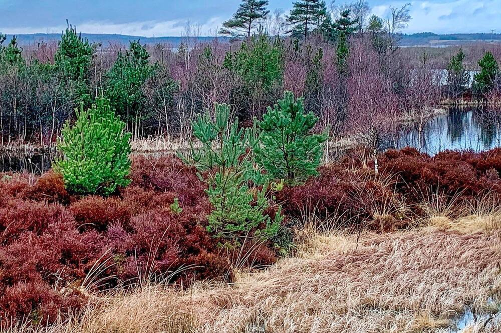 Photo of Outdoor in Silkeborg