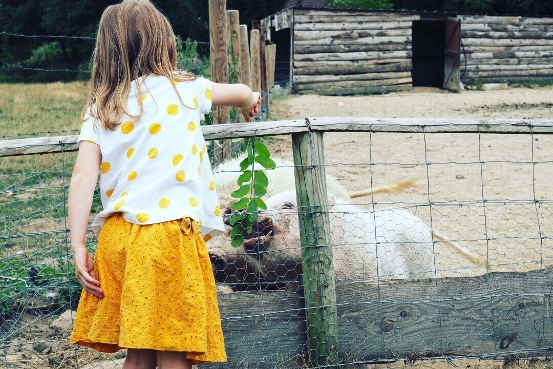 Photo of Outdoor in Chassenard