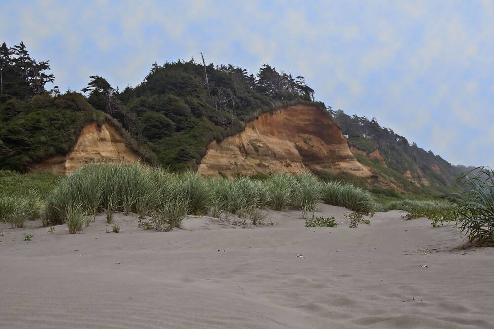 Photo of Others in Copalis Beach