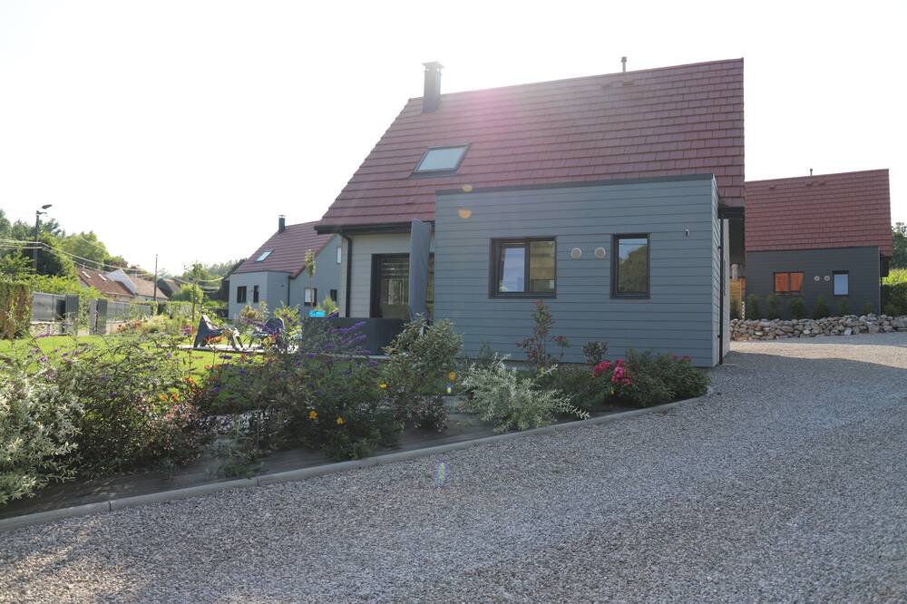 Photo of Others in Carly