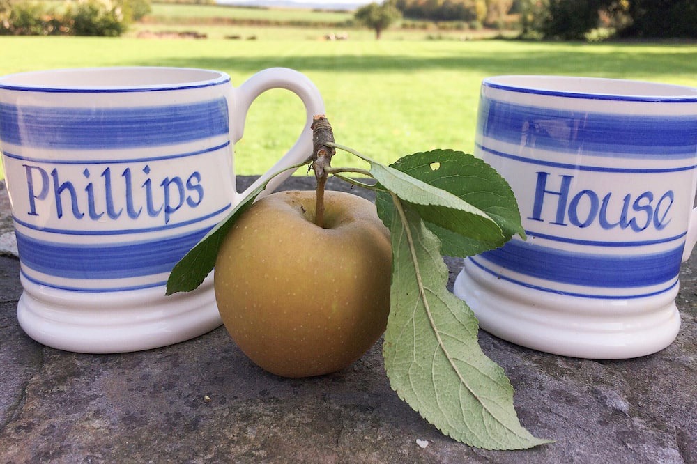 Photo of Outdoor in Woolhope