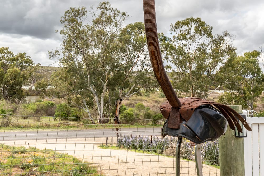 Photo of Outdoor in Younghusband