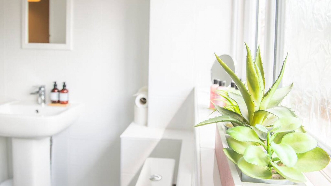 Photo of Others in Gamston