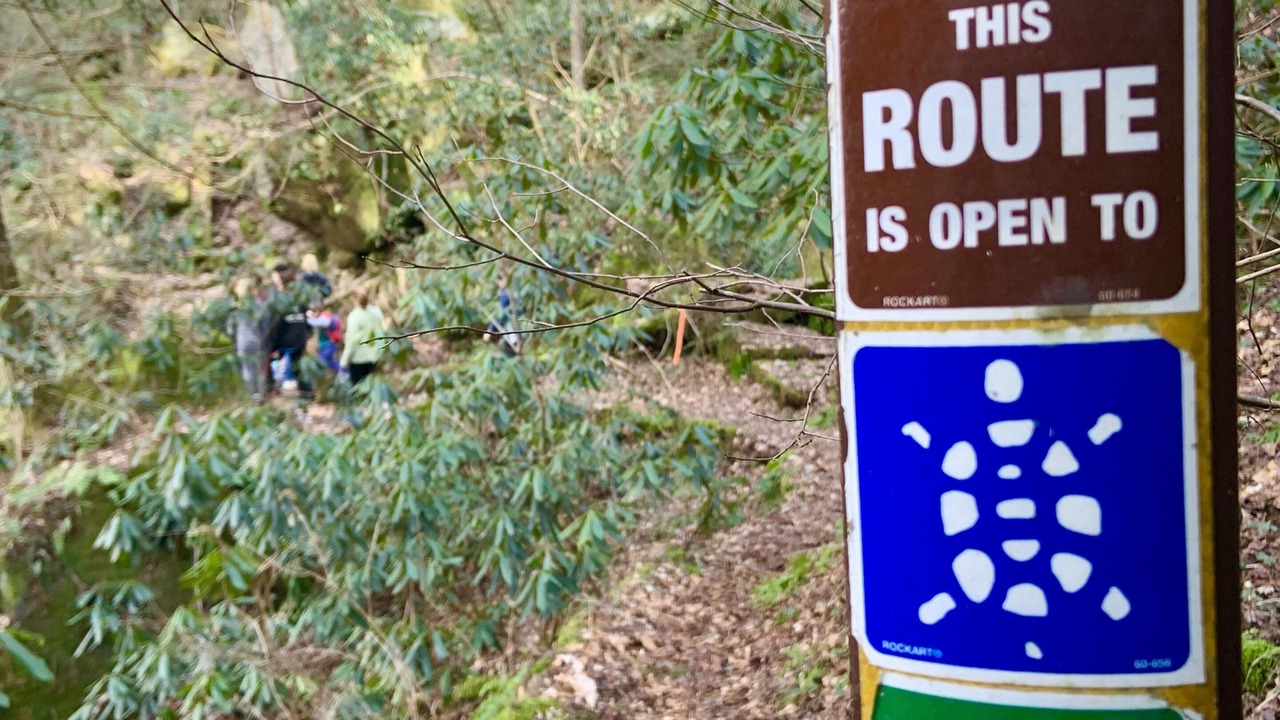Photo of Outdoor in Revelo