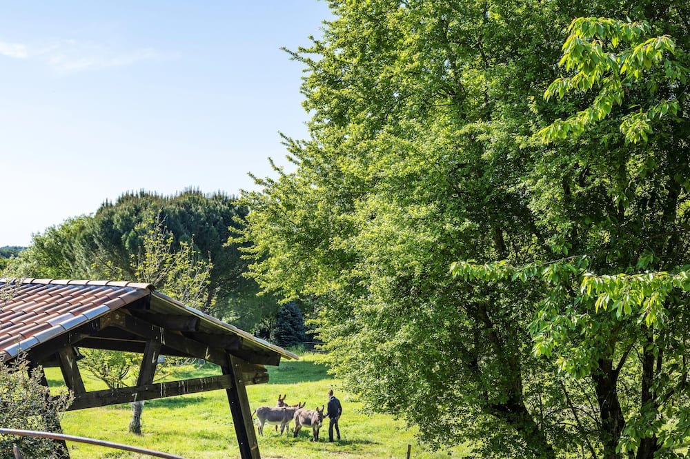 Photo of Outdoor in Forcalquier