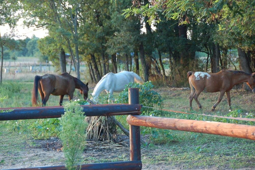 Photo of Outdoor in Fronton