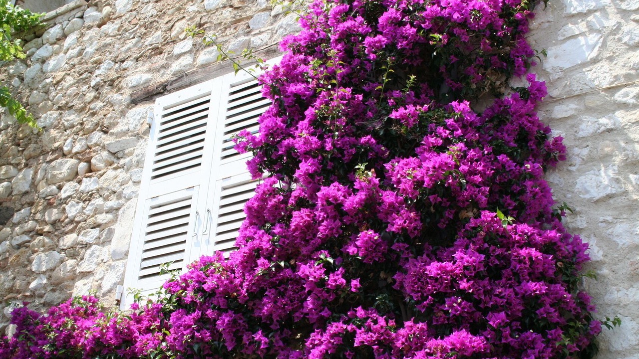 Photo of Outdoor in Saint Alban Auriolles