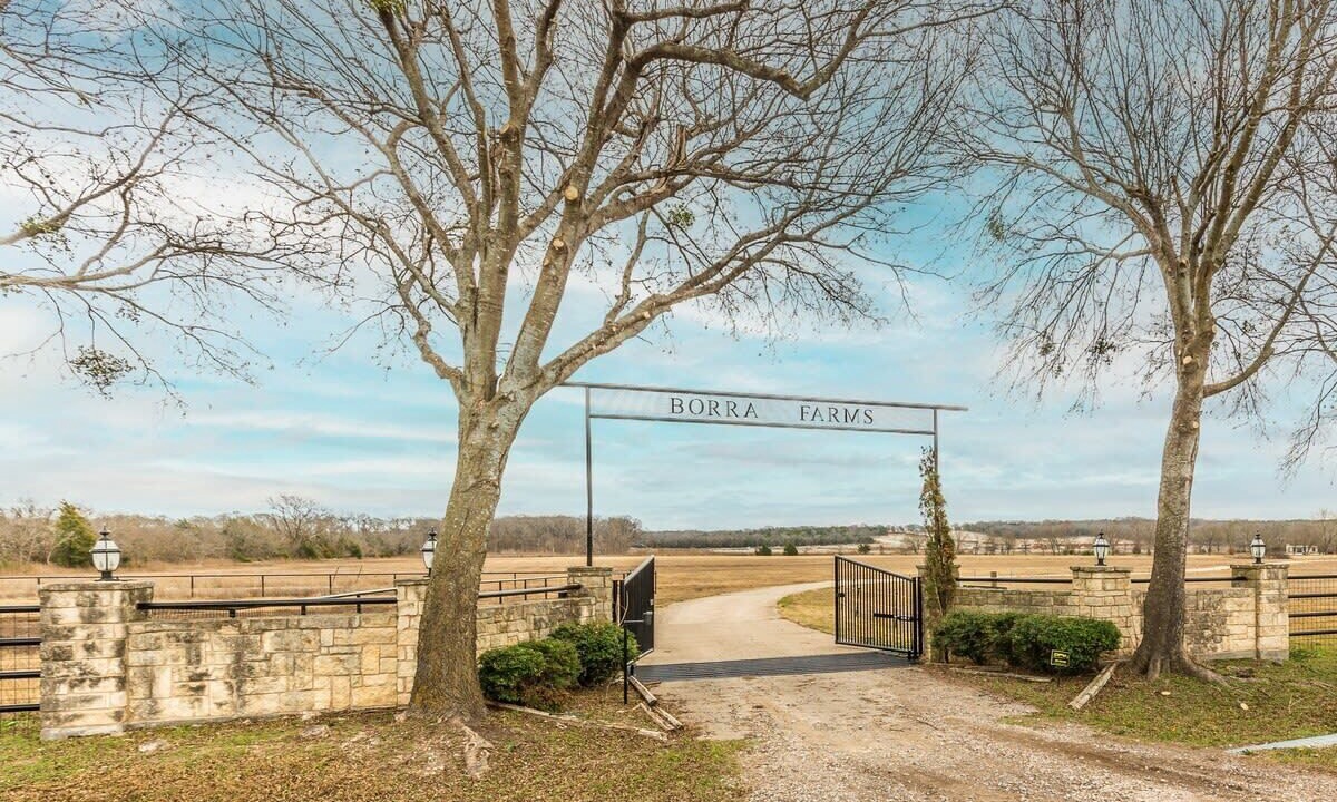 Photo of Outdoor in Weston