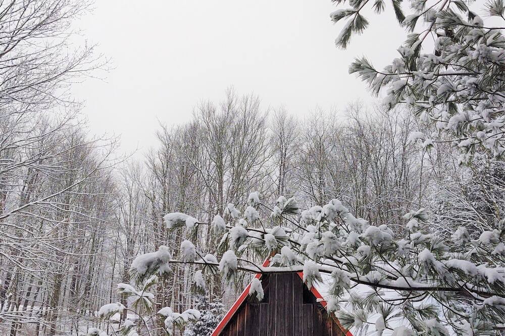 Photo of Outdoor in Union Dale