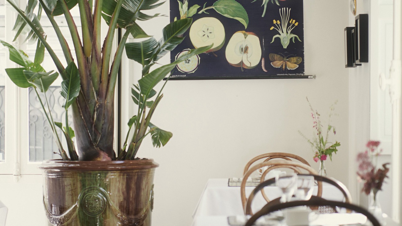 Photo of Others in Centre Ville