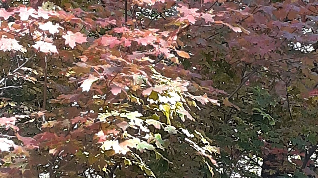 Photo of Outdoor in Mountainair