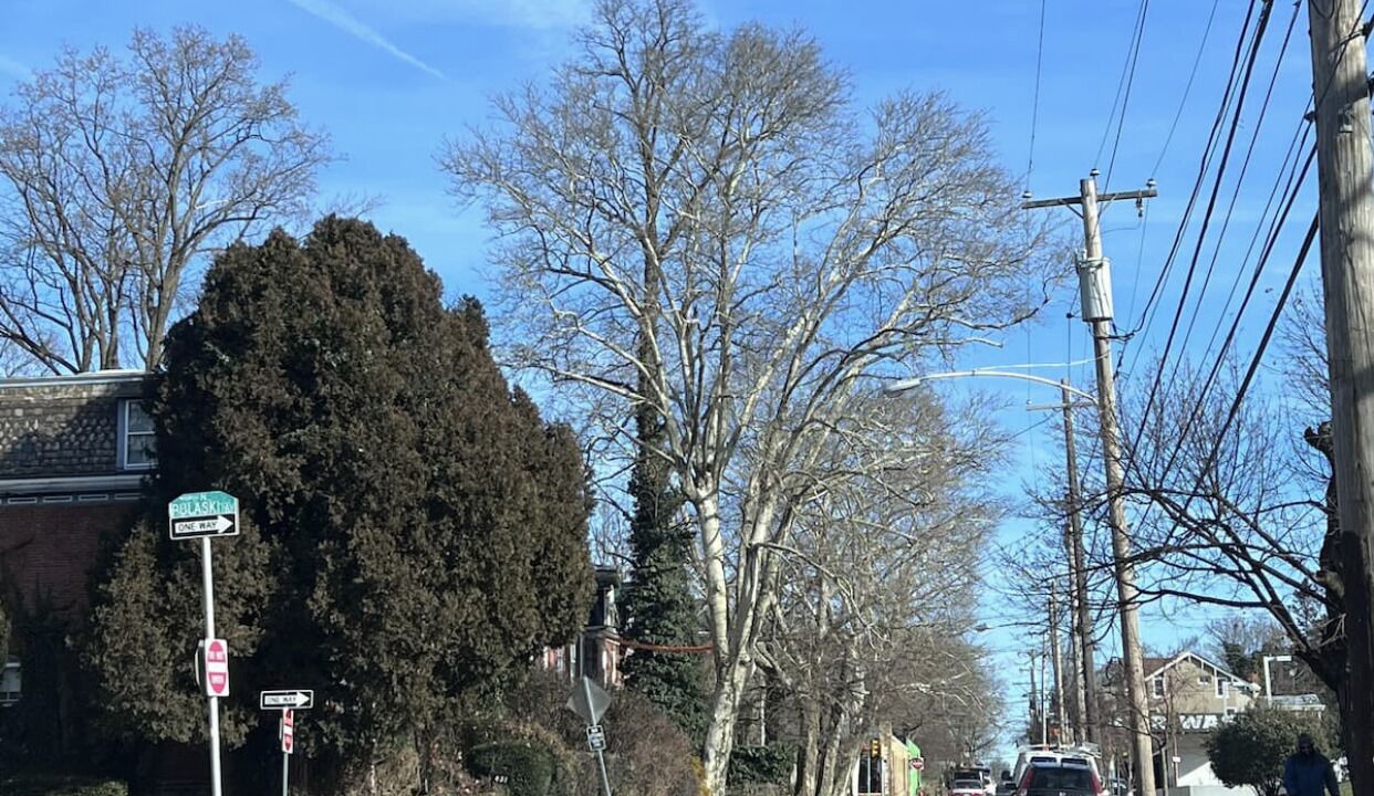 Photo of Others in Germantown