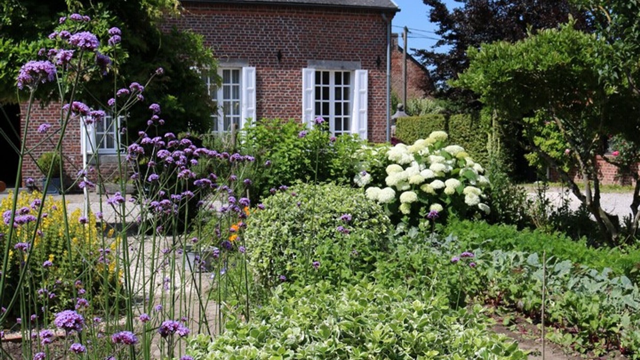 Photo of Outdoor in Hecq