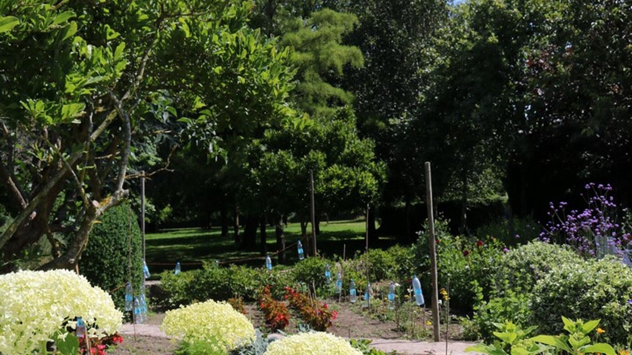 Photo of Outdoor in Hecq